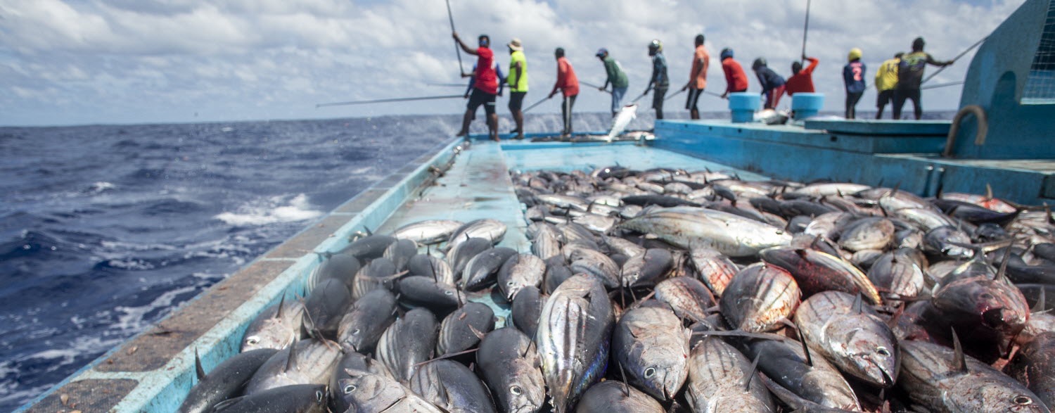 Fishing boat with catch