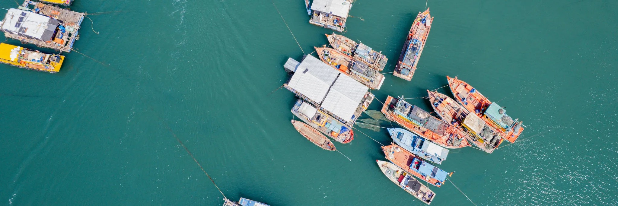 Aerial view of fishing fleet