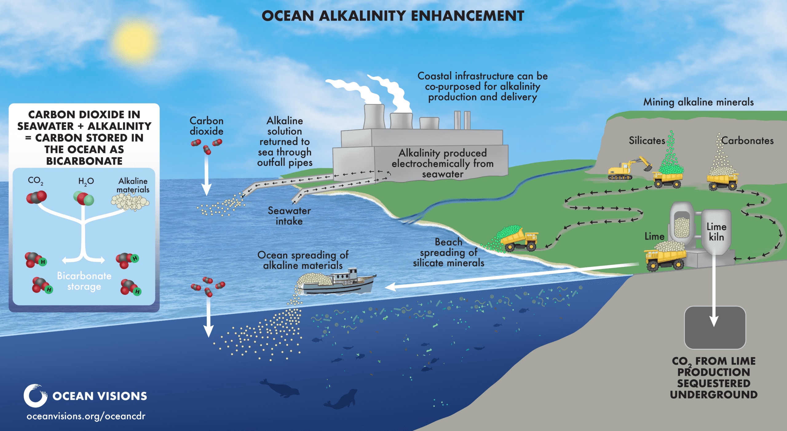Ocean Alkalinity Enhancement diagram